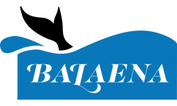 Balaena H2O, LLC